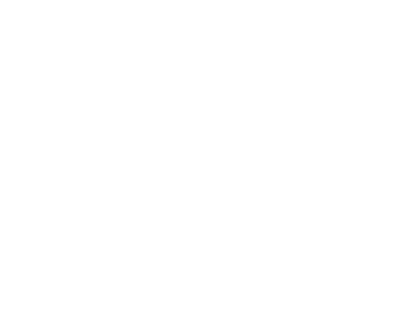 VisMo Logo