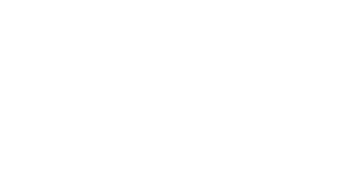 Standard Fitness